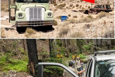 NEVADA DESERT DRIFTER VANISHES INTO THIN AIR — SIX YEARS LATER, HIS ABANDONED BUS AND HAUNTING CLUES REAPPEAR…