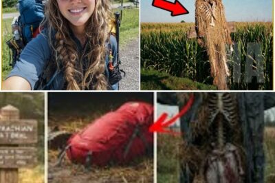 Hiker Vanished on Appalachian Trail — 2 Years Later Remains Found in a Scarecrow