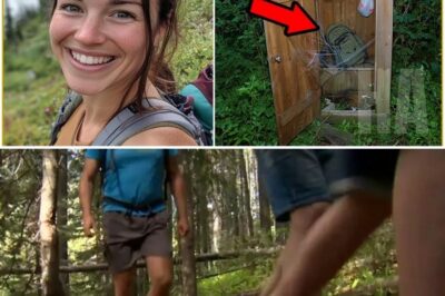 Hiker Vanished in Mountains — 8 Years Later Backpack FOUND in OLD FOREST OUTHOUSE…