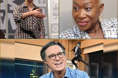🚨 “They Told Me to Play It Safe — I Laughed.” Inside Rachel Maddow’s Rebel Newsroom and the Colbert Effect Shaking Cable TV