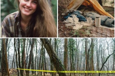 Boulder 2005 Unsolved Case Ends — Tent Discovered in Forest After 18 Years