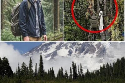 He Vanished Near Mount Rainier… 18 Months Later, His Body Was Found Hung in the Trees