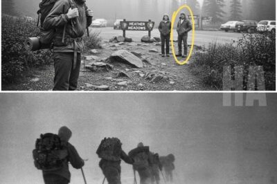 Disappeared in the Mountains, 10 Years Later He Appeared in Another City: The Case That Shocked the World