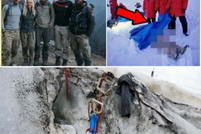 They disappeared at the HIGHEST PEAK Everest — Two years later, THEY were found…