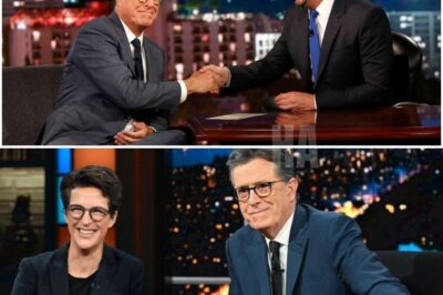 Maddow, Colbert, and Kimmel Just Walked Away From the System — And Launched a Newsroom That Has Networks Shaking