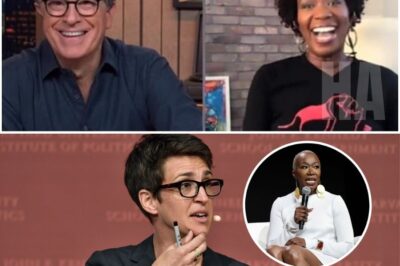 Rachel Maddow, Stephen Colbert, and Joy Reid have officially abandoned MSNBC — and their daring new “freedom-first” newsroom is sending shockwaves through the media world. What these three powerhouse voices are plotting in secret could completely upend cable news as we know it.