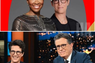 😱Rachel Maddow, Stephen Colbert, and Joy Reid OFFICIALLY ANNOUNCE an Independent Newsroom—Is this the end of corporate media or just a celebrity power struggle?!