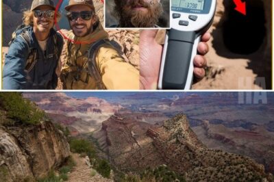 Two Tourists Vanished in Grand Canyon — 5 Years Later One Returned and REVEALED a TERRIBLE SECRET