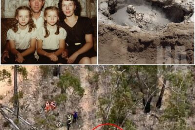 Twins And Parents Vanished in Yellowstone in 2004 — 21 Years Later, Found in Quicksand-Like Mud Pool