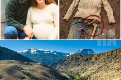 Husband and Pregnant Wife Vanished Camping in Yellowstone, 11 Years Later Hiker Finds This…