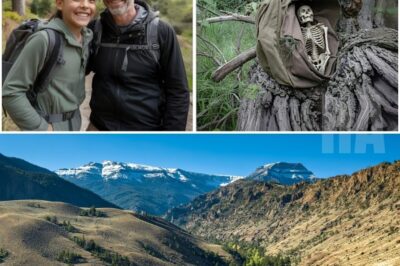 Father and Daughter Vanished Near Mount Rainier… 16 Months Later Hiker Finds This…