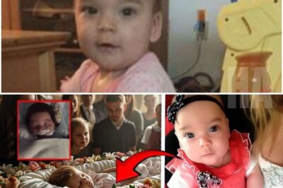 They’ve Seen Everything—But THIS Left Detectives in Tears _ The Emmaleigh Barringer Tragedy