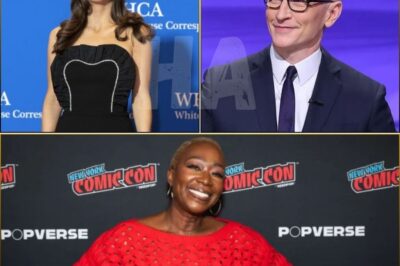 Joy Reid has officially stepped onto a new stage — and critics, insiders, and longtime viewers are already buzzing. What unfolded in her shaky CNN premiere could redefine her career trajectory in ways no one saw coming.