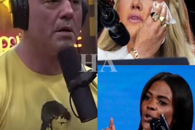 CANDACE OWENS JUST LIT A MATCH IN THE MIDDLE OF A FIRESTORM.