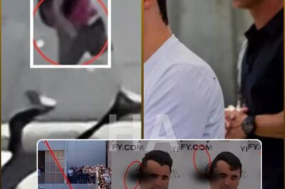 🚨 BREAKING REPORT — A Veteran’s Analysis Shakes the Official Charlie Kirk Shooting Narrative