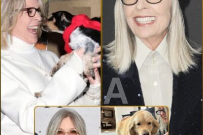 🚨 BREAKING — Hollywood Stunned as Diane Keaton’s $5 Million Secret Will Is Revealed. And the twist has everyone in tears. 💔🐾