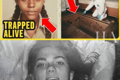 The Girl in the Wooden Box: Inside the Seven-Year Ordeal of Kesha Monroe