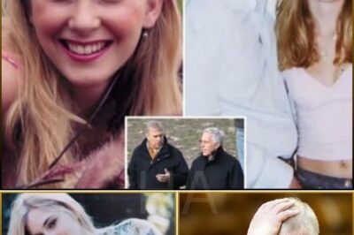 🚨 Royal Bombshell: Virginia Giuffre Exposes Prince Andrew’s Chilling Words Before the Night That Changed Everything