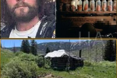 Tourist Vanished in 2002 in Montana — 17 Years Later Rangers Found Jars with Organs in an Old Cabin