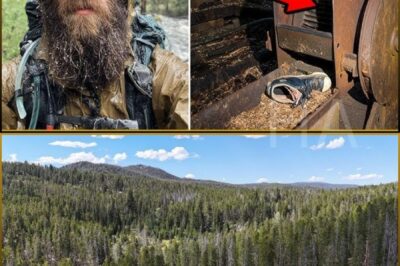Tourist vanished in National Forest — 4 years later his PHONE turned on in a Cold War BUNKER…