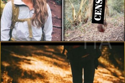 Woman Went Missing In Appalachian Trail — A Year Later Found HANGING From A TREE…