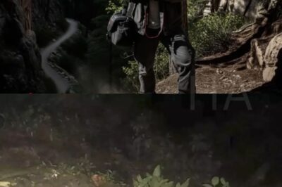 The Hiker Vanished — But a Camera Was Secretly Watching Him