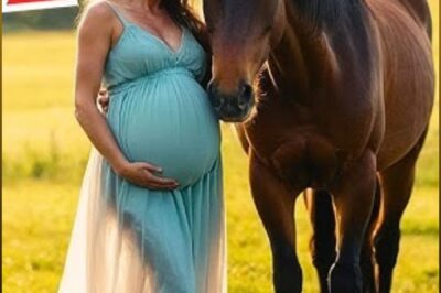 DID A HORSE PREGNANT HER? HER BELLY GROWED NON-STOP, UNTIL SHE DISCOVERED THE TRUTH…..