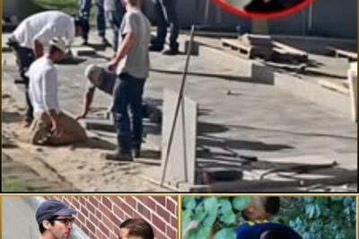 FINAL EVIDENCE: A ‘STRANGE’ bullet found at the Charlie Kirk murder scene is now at the heart of the investigation