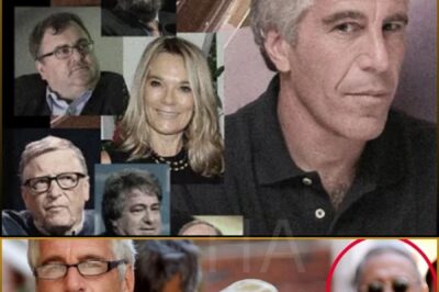 🚨 Hollywood Shocker: Woody Allen Unveils Epstein Scandal and His Surprising Involvement. The world was left in disbelief as Woody Allen — a name long tied to controversy — finally broke his silence on the Jeffrey Epstein scandal.