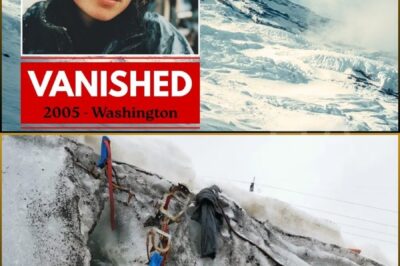 Hiker Lost on Mount Rainier in 2005 — 15 Years Later, Frozen Tent Found in Ice