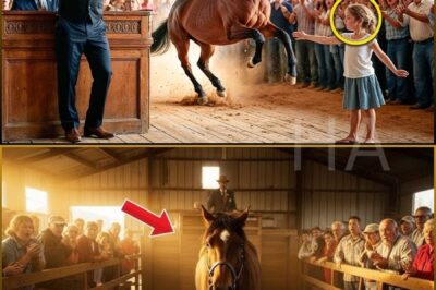 TEN MILLION IF YOU RIDE MY WILD HORSE! SAID THE CHIEF TO THE ORPHAN GIRL…