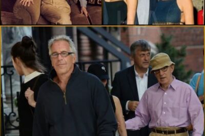 Hollywood Bombshell: Woody Allen Breaks the Epstein Scandal Wide Open. The world was left stunned as Woody Allen — a name long surrounded by controversy — finally spoke out about the Jeffrey Epstein scandal.