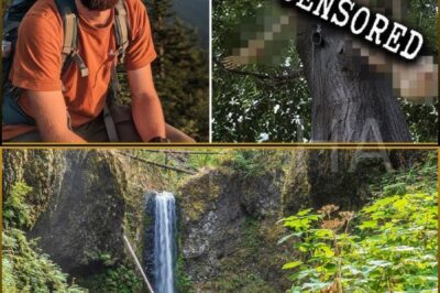 Lone Traveler vanished in Oregon National Forest — 3 years later found HANGING from a TREE…