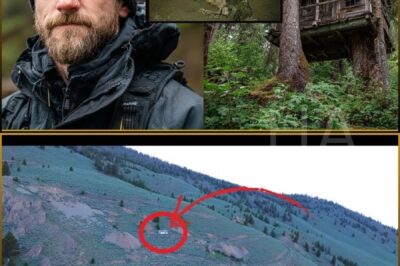 Tourist Missing in Ketchikan Forests — Found in Abandoned Tree Cabin 9 Years Later