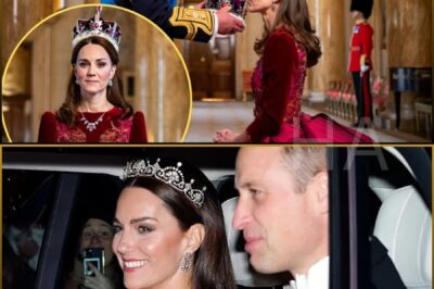 King Charles Grants Princess Catherine a Privilege Never Seen Before — Camilla Reportedly Storms Out of the Palace Meeting