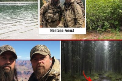 Brothers vanished on Hunting Trip 5 years later one returned and revealed a TERRIFYING SECRET…..