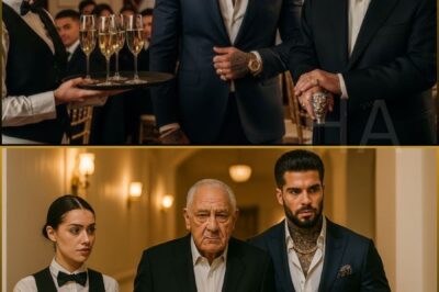 Shy Waitress Greeted Mafia Boss’s Sicilian Dad—Her Sicilian Dialect Greeting Had Every Guest Frozen