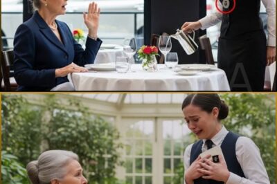 Billionaire Grandma Sees a Poor Waitress Wearing a Family Heirloom—Instantly Cries…