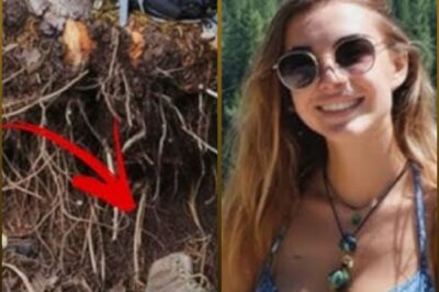 Hiker Vanished in Alaska Forests — 5 Years Later She Was Found Beneath Pine Roots…
