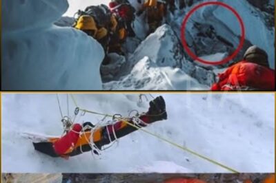 The chilling truth behind Everest’s romantic “Rainbow Valley”: climbers never return, souls lost forever on the mountaintop for hundreds of years.
