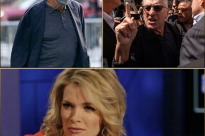 Robert De Niro Silences Megyn Kelly With Eight Words That Shook Live TV