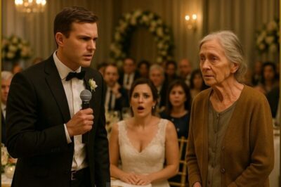 At the wedding, the son insulted his mother, then she took the microphone…