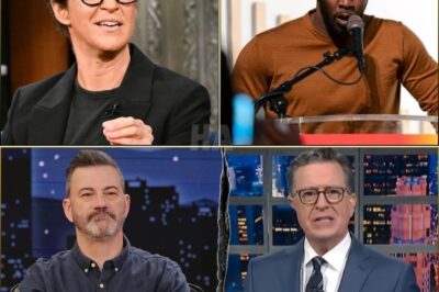 “FOUR YEARS — THAT’S JUSTICE?!” Kimmel and Colbert STUN audiences as surprise guests on Rachel Maddow’s broadcast — exposing what many call the real reason two “TRUTH” news networks were suddenly shut down: to silence outrage over Diddy’s so-called “impossible” 4-year sentence.