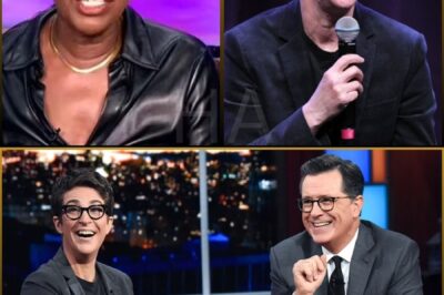 🚨THE TRUTH JUST WENT ROGUE: Maddow, Colbert & Reid Unleash A Newsroom That Answers To No One🔥