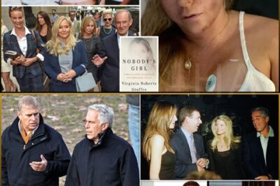 🚨 “Nobody’s Girl” Ignites the Firestorm: Virginia Giuffre’s Final Words Shatter the Empire of Silence