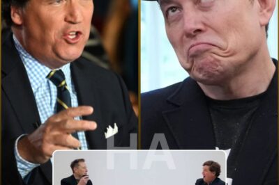 🚨“Elon Musk Declares War on ‘Woke Media’: Shocking Move to Buy ABC and Appoint Tucker Carlson as CEO Leaves Disney Stunned”