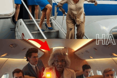 CORPORATE HORROR: An elderly Black female CEO in disguise was blocked from her own plane, and then everyone trembled!