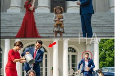 After her father’s funeral in California, a young girl is abandoned on the street by her stepmother — until a wealthy lawyer steps in and discovers a secret will.