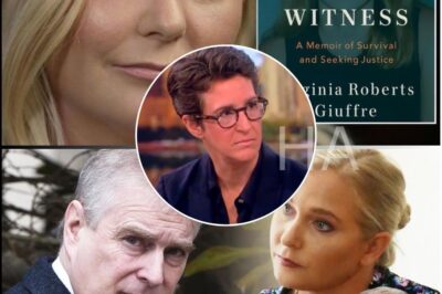 BREAKING NEWS – RACHEL MADDOW SHOCKS THE NATION LIVE ON AIR AS SHE REVEALS A 600-PAGE “PART 2” MEMOIR BY VIRGINIA GIUFFRE AND CLASHES FIERCELY WITH PAM BONDI!
