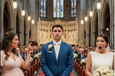 “She Announced She Was Carrying the Groom’s Baby—The Bride Already Had the Evidence Ready to Destroy Them Both….”